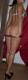 intimo